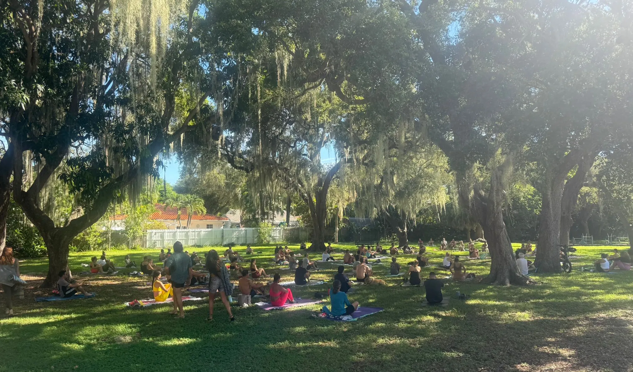 People practicing yoga beneath banyan trees at Legion Park