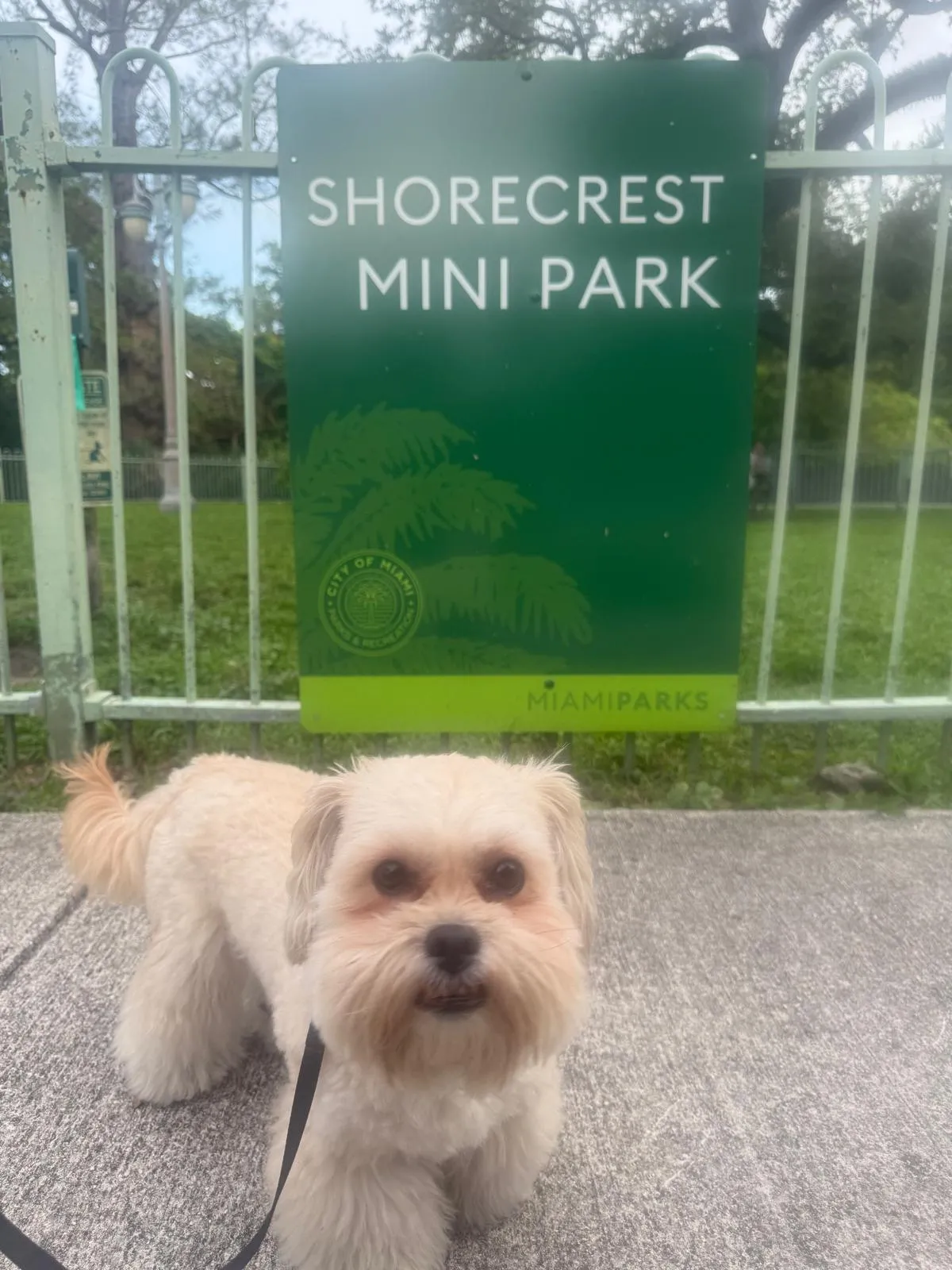 Mini Park overview in Shorecrest 33138